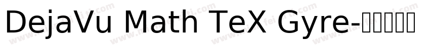 DejaVu Math TeX Gyre字体转换